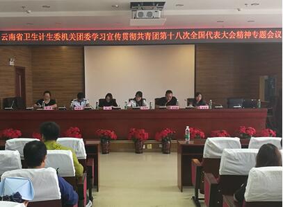 云南省衛生計生委機關團委召開專題會議學習宣傳貫徹團的十八大精神(圖1)